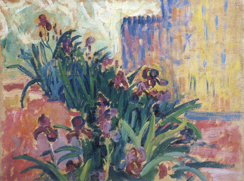 Paul Signac irises